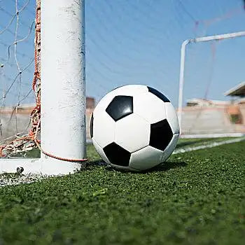 篮球爱好者通过平台学习篮球知识